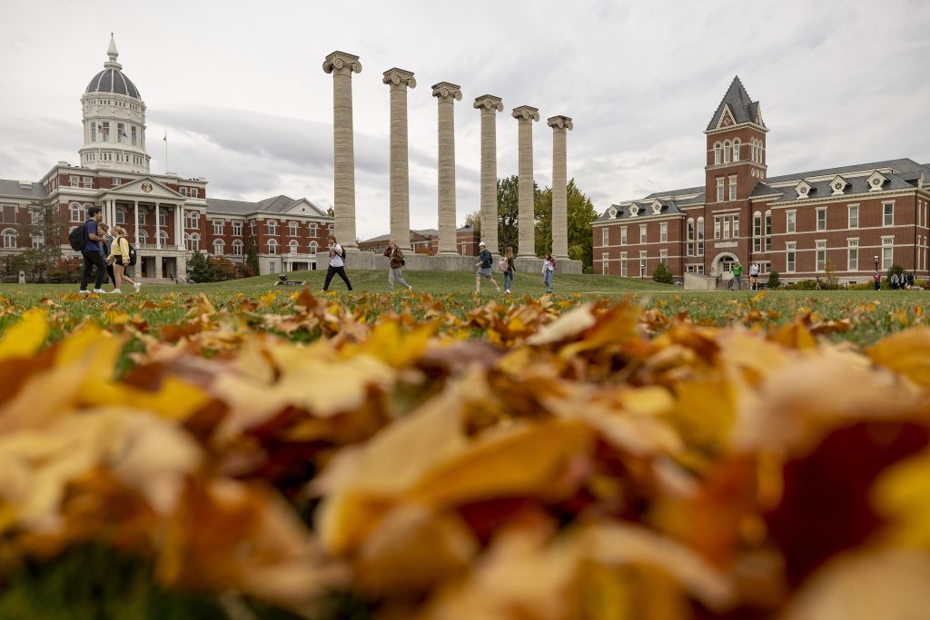 a photo of the mizzou quad with the columns and jesse and leaves on the ground